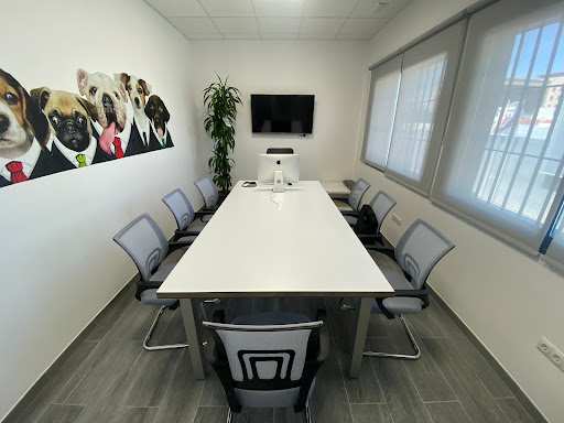 Coworking Amazing
